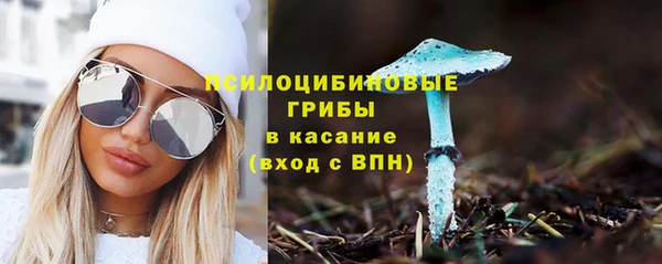 ALPHA-PVP Алексеевка