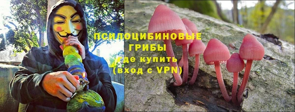ALPHA-PVP Алексеевка