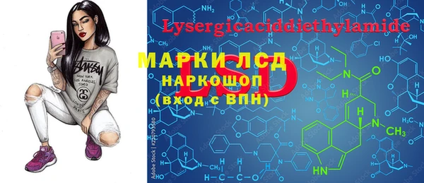 индика Алзамай