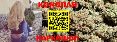 крисы Малгобек