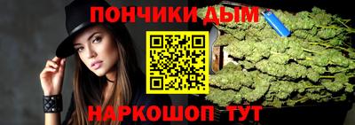 крисы Малгобек