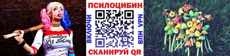 Галлюциногенные грибы Magic Shrooms  Клин 