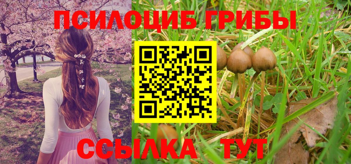 Псилоцибиновые грибы ЛСД Клин