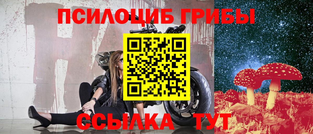 Псилоцибиновые грибы прущие грибы  Вход с VPN  Клин 